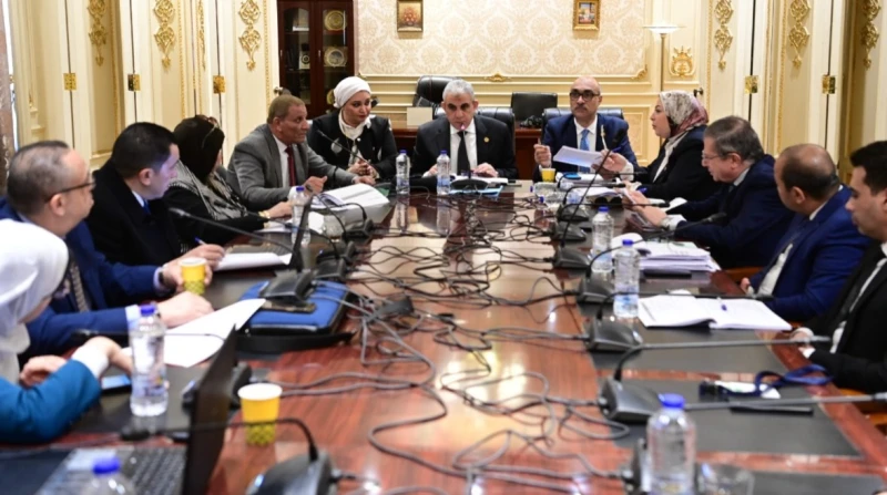 سكن منفصل وممنوع المبيت.. ضوابط تشغيل الأطفال في قانون العمل تستعد لجنة القوى العاملة بمجلس النواب، لمواصلة مناقشة مواد مشروع قانون العمل الجديد