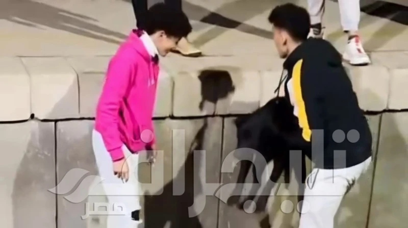 الراحمون يرحمهم الله.. طالب ينقذ كلبا من الموت أسفل القطار بالغربية في موقف إنساني لاقى استحسانا واسعا على مواقع التواصل الاجتماعي، أنقذ شاب كلبا ضالا من الموت المحقق بعد أن كان مس