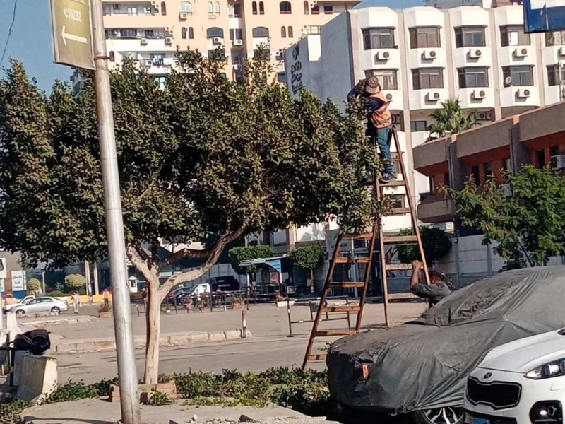 كتبت أمل عبد الرحيم واصل جهاز التطوير والتجميل أعمال صيانة ورفع كفاءة ميادين ومسطحات مدينة الإسماعيلية بالتنسيق مع حي ثان مدينة الإسماعيلية. حيث تم