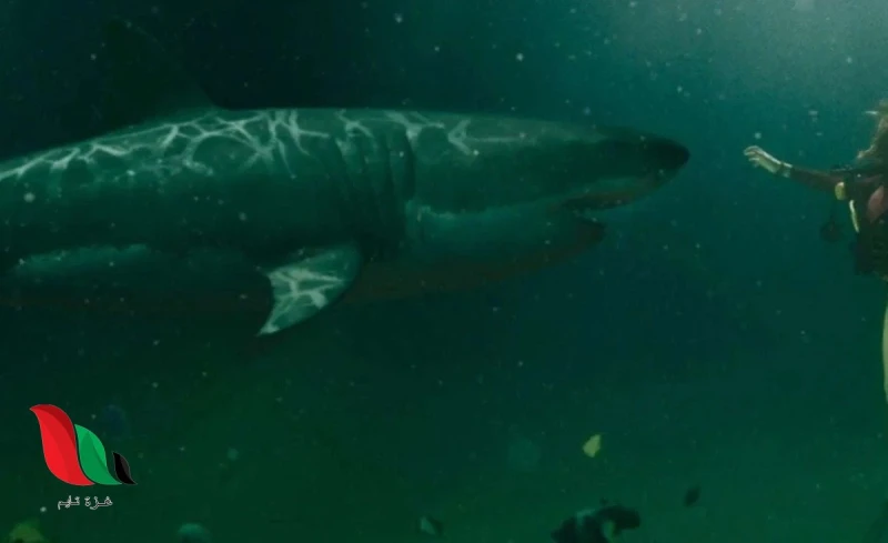 مشاهدة فيلم 2025 مترجم ماي سيما مشاهدة فيلم 2025 مترجم ماي سيما فيلم 2025 مترجم ماي سيما هو فيلم إثارة أمريكي، من تأليف تشاد لو وجوش ريدجواي، وإخراج