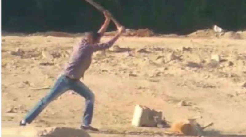 شوم ودهس ووأد.. شركة وهمية تقتل الحيوانات بطرق بشعة ضرب بالشوم ودهس بالسيارات وأخيرا الدفن أحياء.. جميعها طرق قتل غير رحيمة اختارها أصحاب شركة غير مرخصة، تدعى ماكس كنترول لمكافحة ا