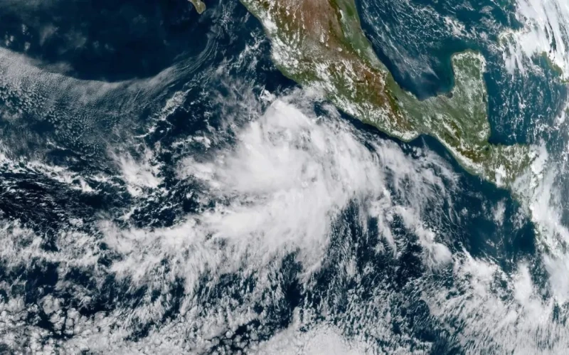 تقلبات جوية مفاجئة الأسبوع المقبل.. الأرصاد تحذر وتكشف التفاصيل تقلبات جوية مفاجئة تقدم هيئة الأرصاد الجوية تقريرا مفصلا حول الأحوال الجوية المتوقعة