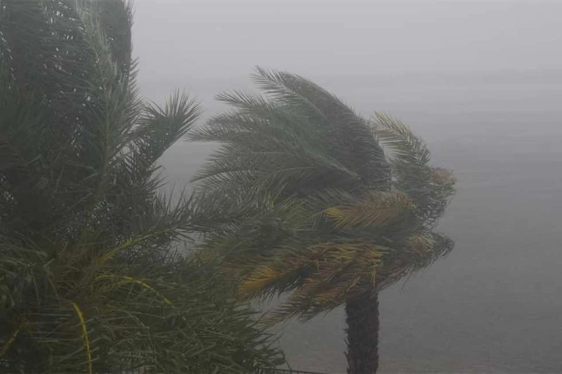 شديد البرودة ودرجة الحرارة تصل ل8.. الأرصاد تكشف حالة الطقس اليوم وغدا كشفت الهيئة العامة ل الأرصاد الجوية عن حالة الطقس المتوقعة اليوم الثلاثاء وغدا الأربعاء، موضحة، أنه يسود طقس