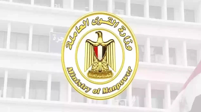 خطوات تسجيل بيانات العمالة غير المنتظمة من الموبايل أتاحت وزارة القوى العاملة التسجيل في منحة العمالة غير المنتظمة إلكترونيا من أجل تيسير الحصول على