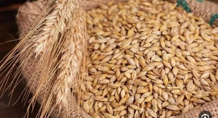 سعر طن الأرز الشعير في مصر اليوم الثلاثاء 21 يناير 2025سعر طن الأرز.. ترتفع معدلات البحث من قبل الكثير من المواطنين عن سعر طن الأرز الشعير في مصر اليوم الثلاثاء 21 يناير 2025، تزام