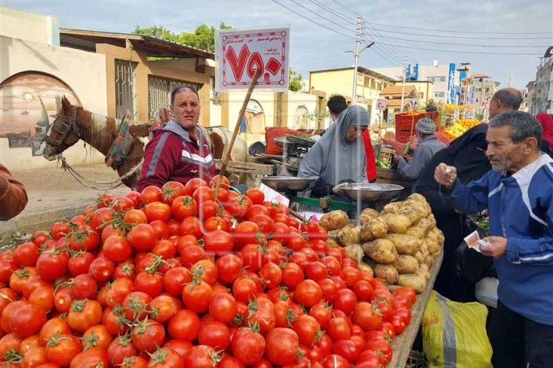 المواسم الدينية تسيطر على أسعار الخضروات في السوق.. وطلبات التخزين تفرض البدائل استعدادا لشهر رمضان الكريم، وما يصاحبه من اتجاه بعض المواطنين إلى تخزين أنواع معينة من السلع الغذائي