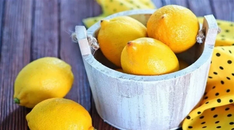 مع ارتفاع سعره في الأسواق.. ما الفرق بين الليمون العادي والأضاليا؟ سجلت أسعار الليمون ارتفاعا ملحوظا خلال تعاملات اليوم، حيث تجاوز سعر الكيلو 40