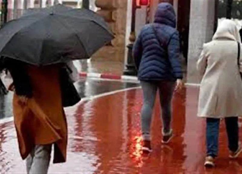 أعلى من المعدلات الطبيعية الأرصاد الجوية تحذر مما سيحدث بدرجات الحرارة حتى الخميس أعلى من المعدلات الطبيعية الأرصاد الجوية تحذر .. حذرت الدكتورة منار غانم، عضو المركز الإعلامي بهيئ