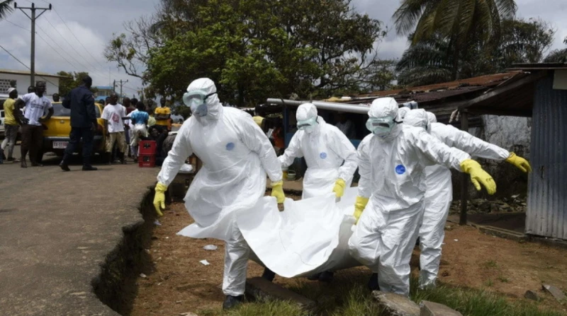 الصحة العالمية تحذر من تفشي فيروس خطير في إفريقيا أعلنت منظمة الصحة العالمية، عن احتمالية تفشي فيروس ماربورج في أفريقيا، محذرة من أن خطر تفشي الفيروس مرتفع.مدير منظمة الصحة العالمي