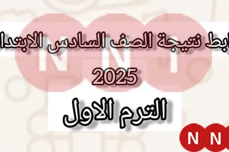 طلاب الإسكندرية.. نتيجة الصف السادس الابتدائي 2025 الترم الاول برقم الجلوس وبالاسم في موقع البوابة الالكترونية للمحافظة في خطوة هامة ينتظرها جميع طلاب محافظة الإسكندرية، أعلنت مدير