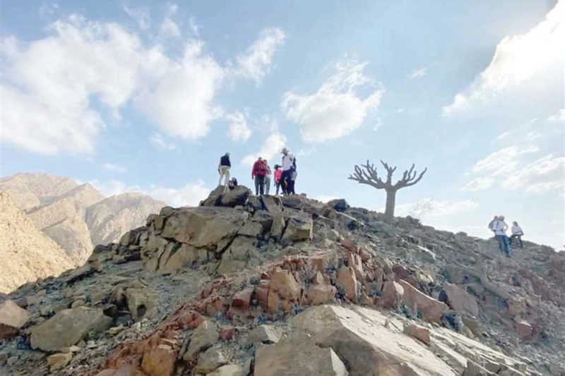 ختام فعاليات معسكر يالا كامب الرياضى فى محمية جبل علبة اختتمت فعاليات معسكر يالا كامب الرياضى الذى أقيم فى محمية جبل علبة الطبيعية جنوب البحر الأحمر، بعد رحلة ممتدة من مرسى علم إلى