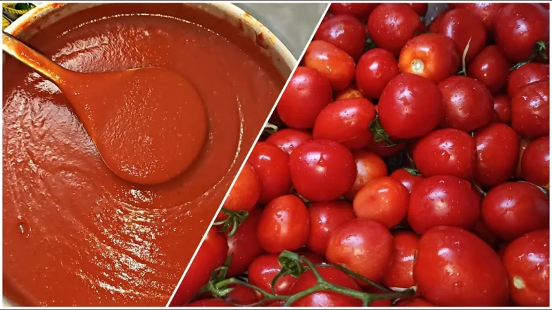 خذني ياست الكل أفضل طرق لتخزين الطماطم للحفاظ عليها من السنة للسنةتعد الطماطم من أكثر الخضروات شهرة واستخداما في المطبخ، وتعتبر من المكونات الأساسية