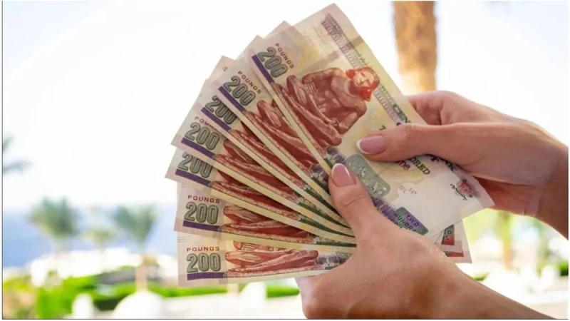 أعلى سعر فائدة على شهادات الادخار البنكية خلال 2025 من البنوك مصرية أعلى سعر فائدة على شهادات الادخار البنكية خلال 2025.. أعربت عديدة مصارف مصرية عن