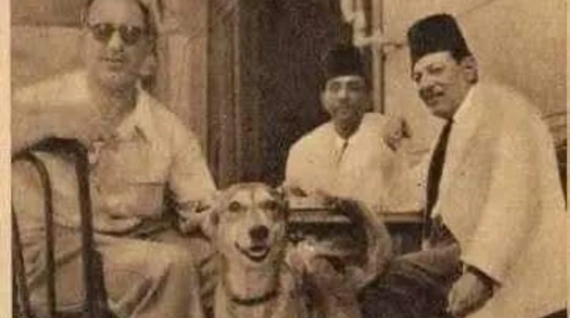 الأنثى الوحيدة الوفية.. هكذا رثى نجيب الريحاني كلبته قبل رحيله بأيام لا يزال كثير من محبي الفنان الراحل نجيب الريحاني، يجهلون كواليس عديدة في حياة