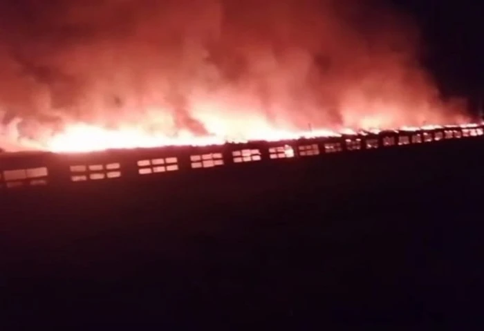 ماس كهربائي يتسبب في نفوق 5000 دجاجة فى مزرعة دواجن بالبدرشين شهدت مركز البدرشين بمحافظة الجيزة صباح اليوم حريق هائل التهم مزرعة دواجن إثر ماس كهربائي من إحدى توصيلات المزرعة وأسفر