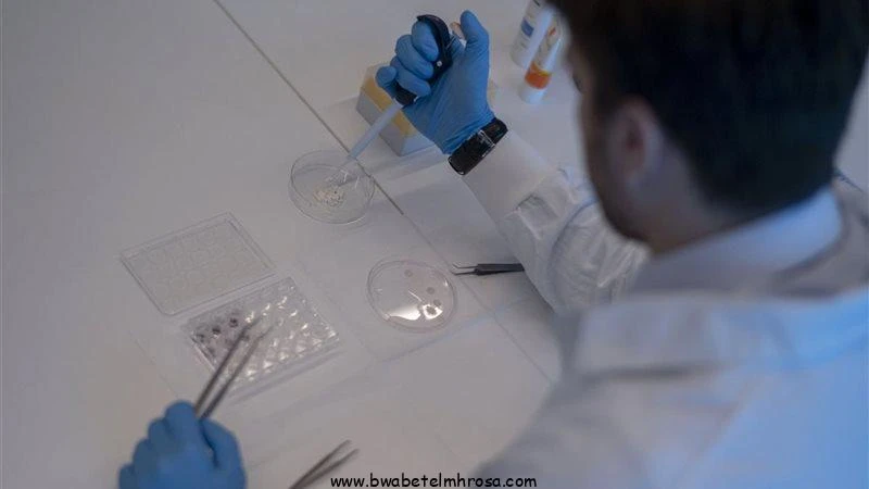 بوابة المحروسةينشرها : الأدمنبعد إعلان اكتشاف أول حالة بمصر .. قصر العينى يوضح أعراض الإصابة بمرض فيكساسأعلن رئيس قسم الأمراض الصدرية بكلية طب قصر