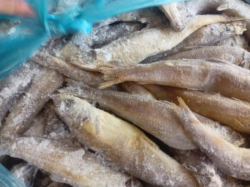 كتبت أمل عبد الرحيم في إطار جهود محافظة الإسماعيلية لضمان سلامة الغذاء وحماية صحة المواطنين، تابع اللواء طيار أ.ح أكرم محمد جلال محافظ الإسماعيلية، حملات التفتيش المكثفة التي تنفذه