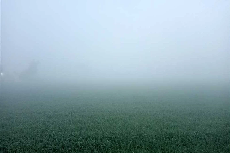 شبورة كثيفة بالمنوفية.. والأرصاد: انخفاض الرؤية الأفقية إلى مستويات أقل من 500 متر تشهد محافظة المنوفية صباح اليوم الأربعاء، انتشارا كثيفا للشبورة المائية، مما أثر بشكل ملحوظ على ح