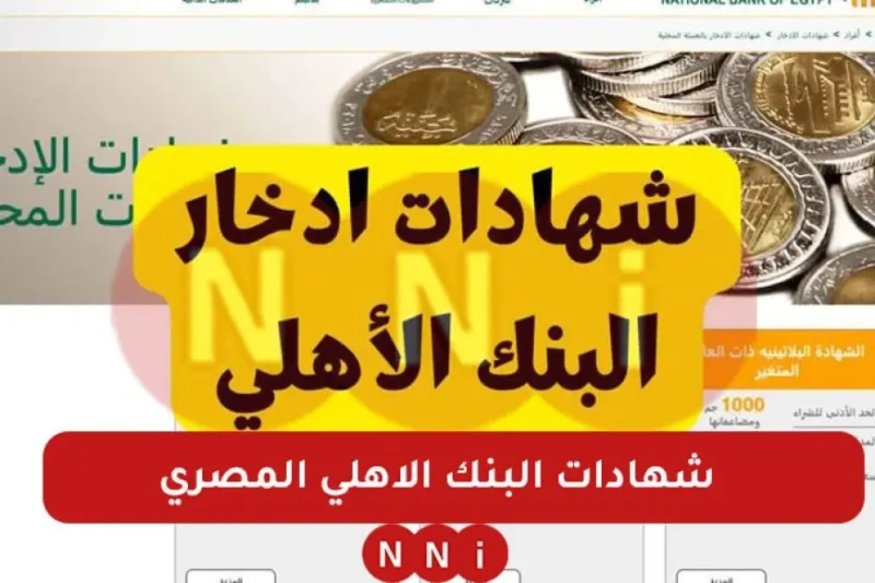 أكسب فلوس .. الشهادة البلاتينية السنوية من شهادات البنك الأهلي المصري بعائد يصل إلى 27 تعد الشهادة البلاتينية السنوية من البنك الأهلي المصري واحدة من