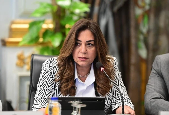 وزيرة التنمية المحلية تصدر قرارا بتعيين عدد من مديري العموم بديوان الوزارة أصدرت الدكتورة منال عوض وزيرة التنمية المحلية، قرارا بتعيين 14 مديرا عاما
