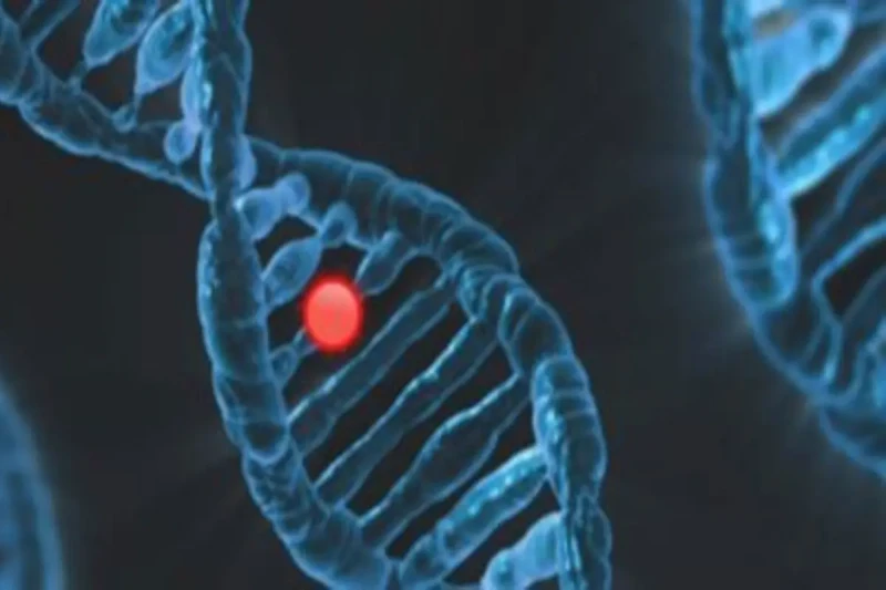 قصر العينى: المريض المصاب بمتلازمة أصيب بكورونا عام 2021 كتب- أحمد عادلعقد الدكتور حسام صلاح، عميد كلية الطب ورئيس مجلس إدارة المستشفيات، اجتماعا غير مسبوق مع الفريق الطبي الذي قام