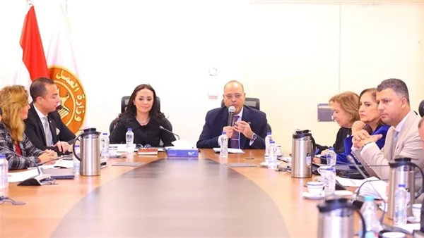 مصر.. وزيرا التضامن والعمل يترأسان اجتماع اللجنة التشريعية لإعداد مشروع قانون العمالة المنزلية ترأست الدكتورة مايا مرسي وزيرة التضامن الاجتماعي المصري، ومحمد جبران وزير العمل اليوم