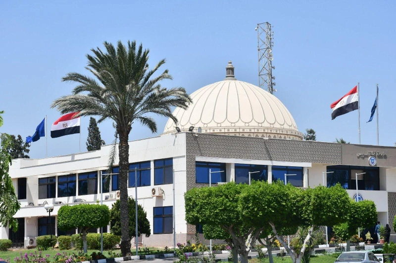 كتبت أمل عبد الرحيم تحت رعاية الدكتور ناصر مندور، رئيس جامعة قناة السويس، وبإشراف عام من الدكتور عبد الرحيم أحمد، المدير التنفيذي لمركز تنمية الموارد البشرية، وبإشراف الدكتورة عفاف