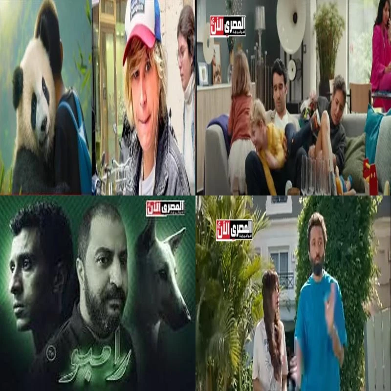 أفلام كوميدية 2025.. أبرز 8 أعمال مصرية وعالمية (تفاصيل) تشهد السينما زخما كبيرا مع بداية إجازة منتصف العام 2025 في إنتاج الأفلام الكوميدية التي