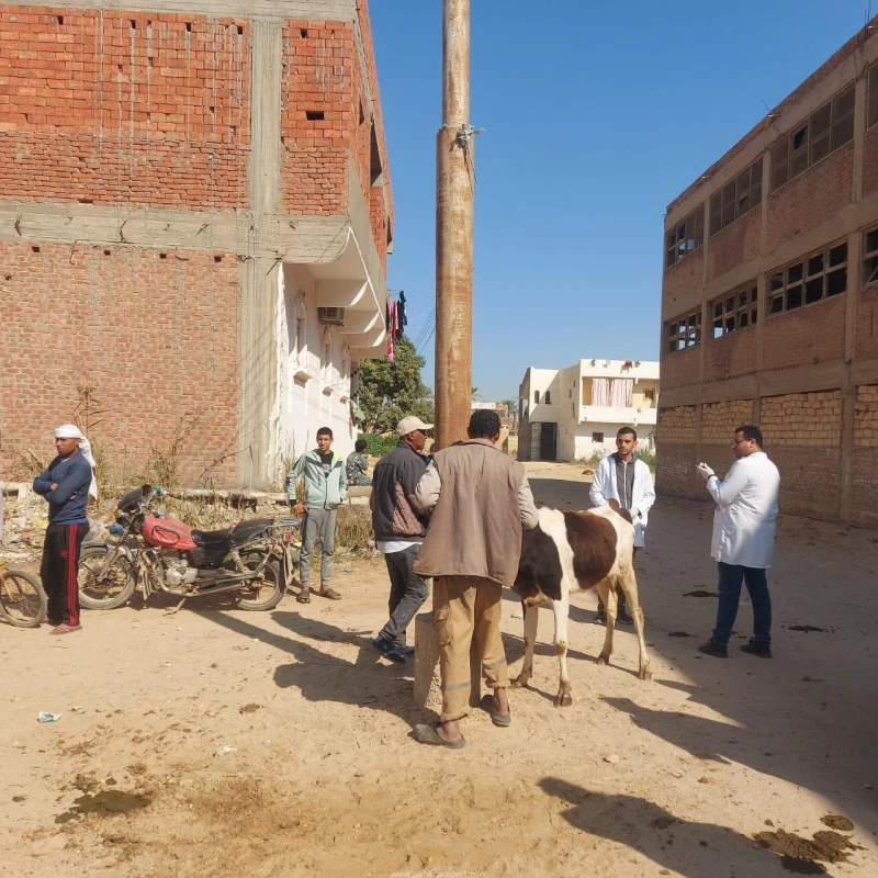 كتبت أمل عبد الرحيم في إطار المبادرة الرئاسية حياة كريمة، نظمت جامعة قناة السويس قافلة شاملة إلى محافظة السويس، وتحديدا قرية چنيفه بحي الجناين، بهدف تقديم الخدمات الطبية و الزراعية