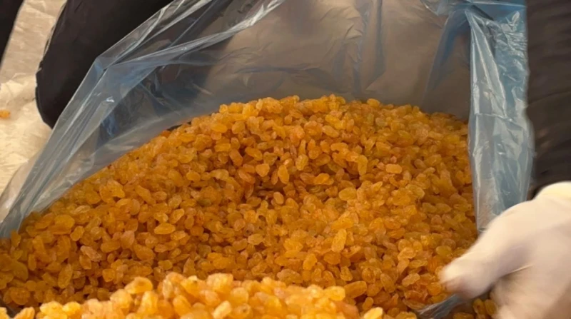 شنراق.. قصة قرية مصرية تصنع الزبيب وتنافس به عالميا (صور) تعد صناعة الزبيب واحدة من أقدم الحرف التي يتوارثها أبناء قرية شنراق التابعة لمركز ومدينة