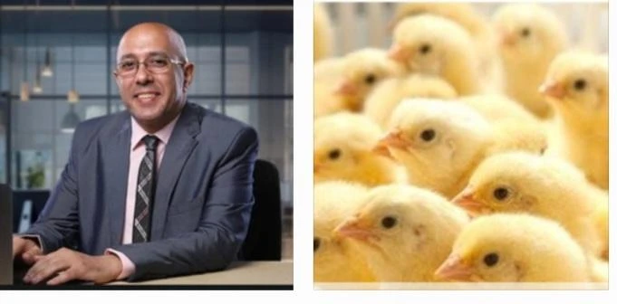 إحالة 162 شركة واتحاد منتجي الدواجن إلى النيابة العامة متابعة أيمن بكري أعلن جهاز حماية المنافسة ومنع الممارسات الاحتكارية، عن ثبوت مخالفة 162 شركة من منتجي كتاكيت التسمين لاتفاقهم