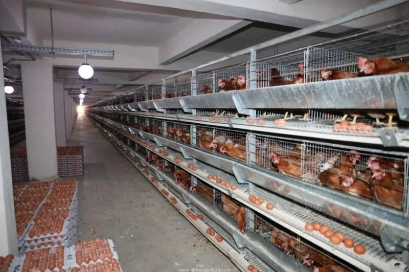 محافظ المنيا يتفقد عدد من المشاريع الانتاجية متابعة ايمن عواد جاد واصل اللواء عماد كدواني محافظ المنيا، تفقد عدد من المشاريع الانتاجية التابعة للمحافظة ، صباح اليوم، حيث تابع سير ا