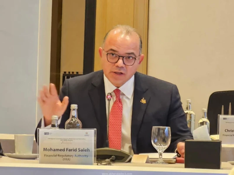 رئيس هيئة الرقابة المالية يشارك في الاجتماعات الدورية للمجموعة الاستشارية لمجلس الاستقرار المالي كتب - محمود الهندي شارك الدكتور محمد فريد، رئيس