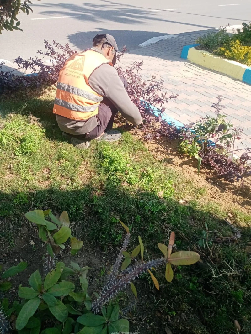 كتبت أمل عبد الرحيم في إطار توجيهات اللواء طيار أ.ح أكرم محمد جلال محافظ الإسماعيلية؛ للحفاظ على الطابع الجمالي والحضاري للمحافظة والارتقاء بالخدمات المقدمة للمواطنين، قام جهاز الت