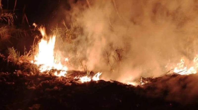 حريق يلتهم جنينة برتقال في المحلة الكبرى.. صور شهدت قرية ميت الليث هاشم التابعة لمركز ومدينة المحلة الكبرى بمحافظة الغربية، اندلاع حريق هائل داخل إحدى جنائن البرتقال، ما أدى إلى تص