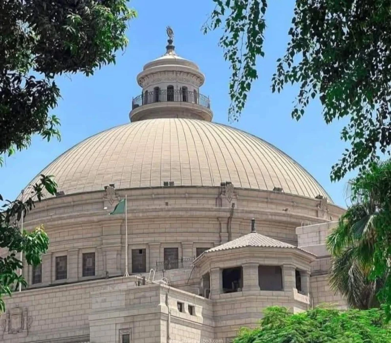 قرارات جديدة للجنة العليا للذكاء الإصطناعي بجامعة القاهرة برئاسة ا.د. محمد سامي عبد الصادق كتب - محمود الهندي عقد الاستاذ الدكتور محمد سامي عبد