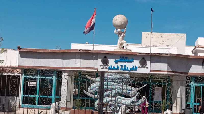 جهات التحقيق تبدأ سماع أقوال الناجين من غرق غواصة الغردقة وصل فريق من جهات التحقيق بمدينة الغردقة، منذ قليل، إلى مستشفى الغردقة العام؛ لبدء التحقيقات في واقعة غرق غواصة سياحية قبل 