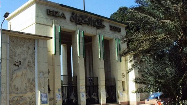 بعد تطويرها وإعلان موعد إعادة إفتتاحها .. مفاجآت بالجملة تنتظر المصريين في حديقة الحيوان بالجيزة يترقب المصريين الكثير من المفاجآت فى حديقة الحيوان