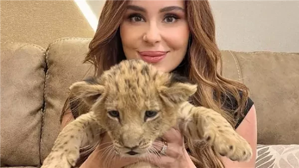 اعترافات انوسة كوتة فى تحقيقات النيابة تفاجئ الجميع وتكشف مفاجأة جديده عن بطل حادثة السيرك محمد البسطويسي اتهمت عائلة الشاب بطل حادثة السيرك، انوسة كوتة، بالتورط في إصابته بعاهة دا