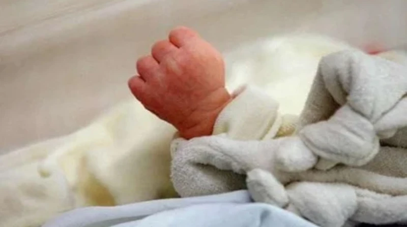 حبل سري معلق بشجرة يكشف جريمة زينب في بولاق كشفت الأجهزة الأمنية بمديرية أمن الجيزة، لغز واقعة العثور على جثة رضيعة في منطقة بولاق الدكرور.بداية قصة بولاق الدكرور تورطت زينب (26 عا