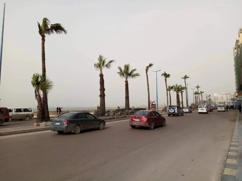 لميس الحديدي تحذر من مخاطر الأتربة على الصحة.. الكمامات والأدوية ضرورية ذكرت الإعلامية لميس الحديدي تحذيرات هيئة الأرصاد الجوية بشأن الموجة الحارة التي تصاحبها رياح محملة بالأتربة 