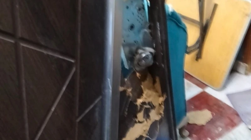 شوه وشي وأخد ابني.. سيدة تستغيث من طليقها في البساتين استغاثت سيدة تدعى إيمان من طليقها أحمد، بعدما اختطف منها ابنهما واعتدى عليها وعلى والدتها