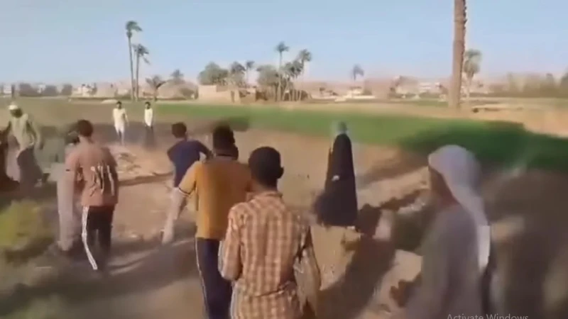 بقرة تثير الفتنة.. مصرع سيدة وإصابة 3 أشخاص في مشاجرة بكفر الشيخ لفظت سيدة في العقد الرابع من عمرها أنفاسها الأخيرة، فيما أصيب نجلها وأحد أقاربها في مشاجرة دامية شهدتها قرية 7 العن