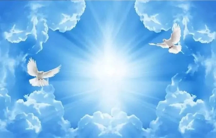 حين تتكلم السماء في المنام.. رسائل خفية تنتظر من يفهمها! في عالم الأحلام، تتخذ الأشياء أشكالا مختلفة تحمل رسائل خفية، قد تكون مفتاحا لطمأنينة قادمة أو تنبيها لتحد في الطريق، ومن أب