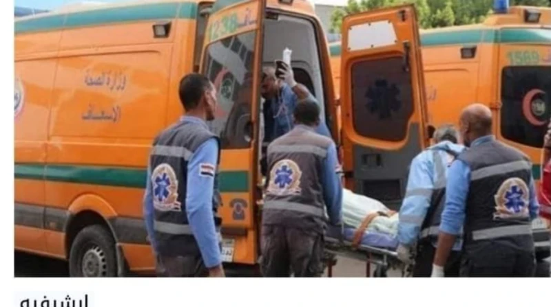 وفاة عاملين أثناء تطهير بيارات صرف صحي في أسوان شهدت قرية الحرية التابعة لمركز كوم أمبو شمال محافظة أسوان حادثة مأساوية بمصرع عاملين أثناء قيامهما بتطهير بيارة صرف صحي بالقرية، حيث