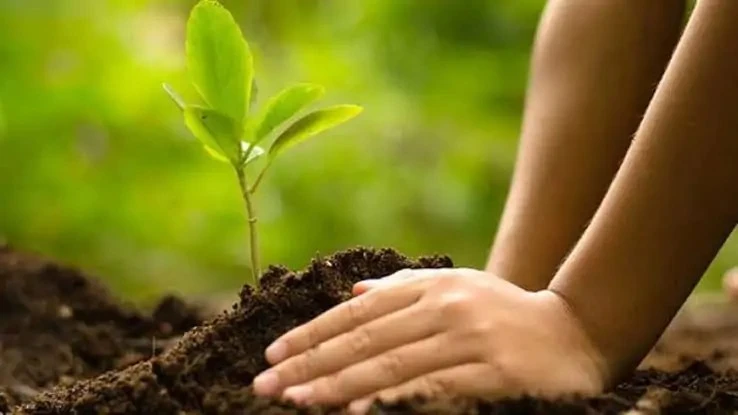 في اليوم العالمي للتنوع.. الطبيعة تنادي.. فهل نصغي؟ يحتفل العالم في الثاني والعشرين من مايو من كل عام باليوم العالمي للتنوع البيولوجي، في مناسبة تسلط الضوء على أهمية حماية الكائنات