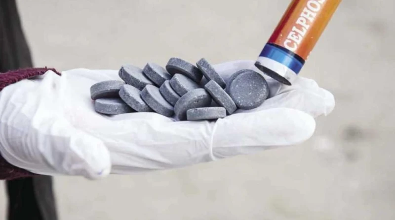 بعد فاجعة تحدي الإندومي.. برلمانية تطالب بحظر حبة الغلة القاتلة تقدمت النائبة فاطمة سليم، عضو مجلس النواب، بطلب إحاطة عاجل موجه إلى كل من؛ رئيس مجلس الوزراء، ووزراء الزراعة واستصلا