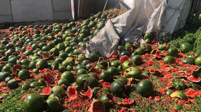 عايم في ميه البطيخ.. حادث مروع يحول الأسفلت للأحمر بالمنوفية شهد الطريق الإقليمي، حادث جديد بالقرب من مزلة سما في نطاق محافظة المنوفية، حيث انقلبت سيارة نقل محملة بالبطيخ من أعلى ا