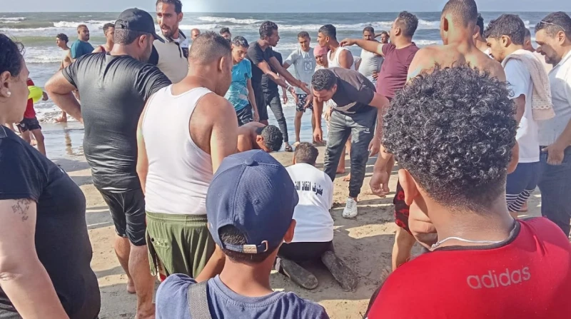 مصرع شاب غرقا ببورسعيد.. وانتشاله أمام كازينو المركب لقي شاب في العشرين من عمره مصرعه غرقا، اليوم الأحد، أثناء ممارسته السباحة بشاطئ محافظة بورسعيد، في واقعة جديدة تسلط الضوء على ت