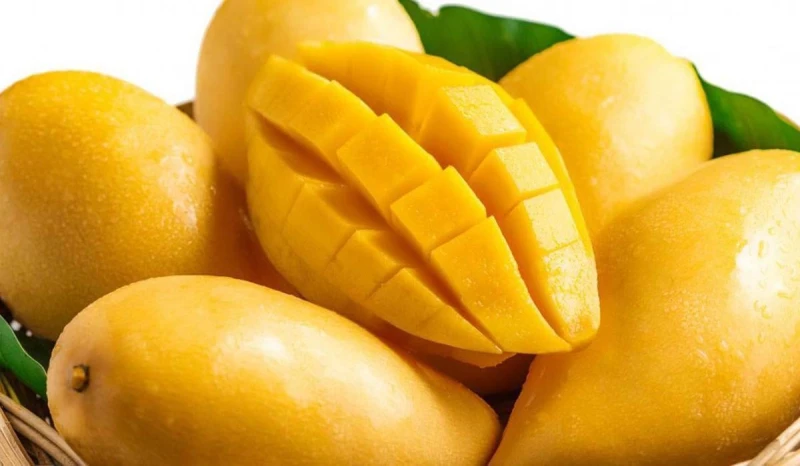 فوائد المانجو للشعر والبشرة.. أوعى ترميه يقبل الكثير من الأفراد على شراء المانجو بسبب مذاقها اللذيذ والشيق، لكن لا يعرف الكثير من الأشخاص أن المانجو من أكثر الفواكة الطبيعية المفيد